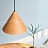 Серия подвесных светильников с плафонами конической формы с лаковым покрытием под темное и светлое дерево NOOMI A1 светлое дерево фото 15